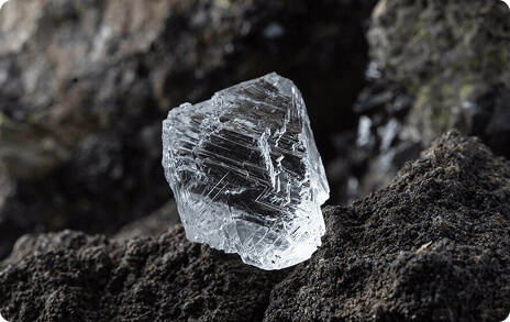 Sustainable Practices